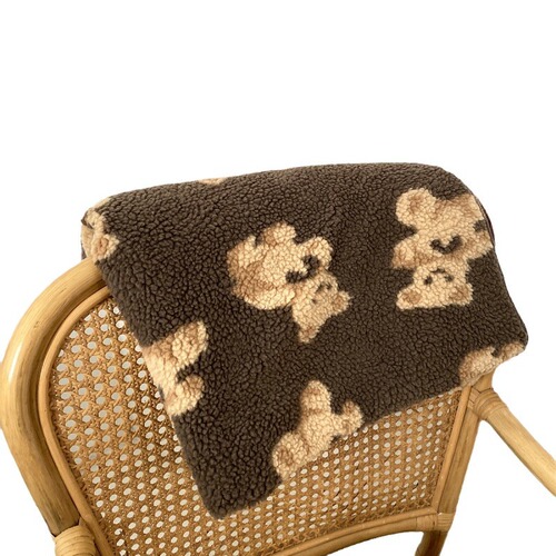 Ins cute little bear double-sided cashmere plush blanket winter and autumn extra thick children's blanket leisure car nap cartoon cover blanket