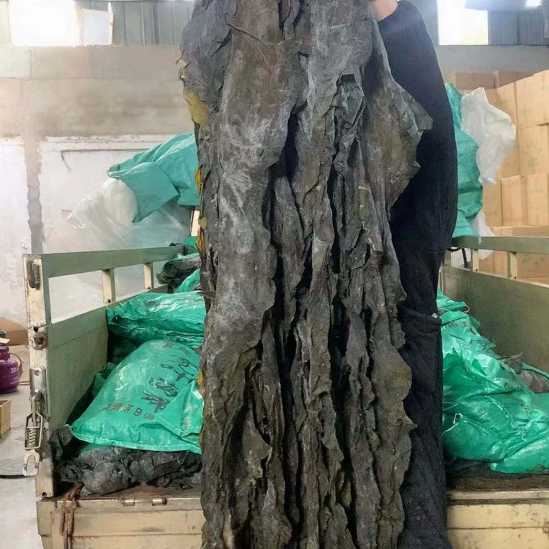 Сухая водоросли, насыпная водоросли