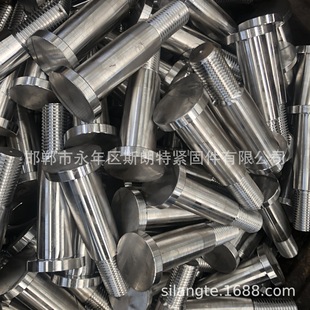 Coupling Bolt Stainless Steel Backrest Pin Jb /T11009 Slotted Bolt Din1445 Step Bolt