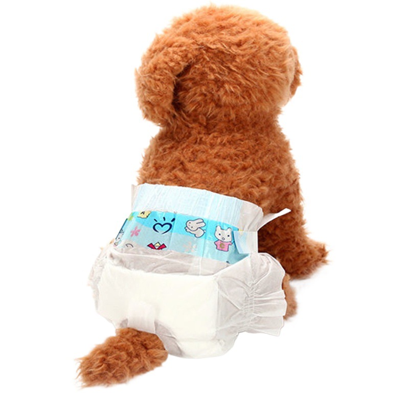 Pañales para mascotas que cambian de color, venta al por mayor, pantalones fisiológicos a prueba de fugas para perros machos, a prueba de fugas