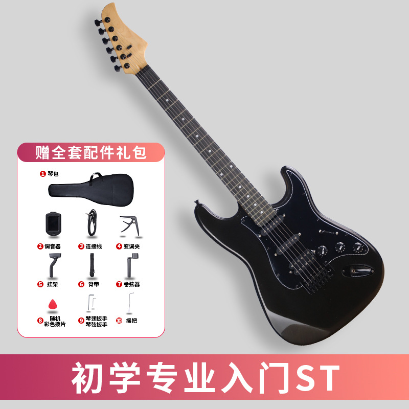 Professional guitar