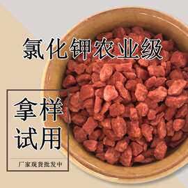 山东现货农业级氯化钾 高含量氯化钾 厂家钾肥农业用氯化钾红钾