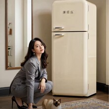 哈士奇变频风冷复古小冰箱低噪节能纤薄易嵌双门冷冻冷藏BC-192RS