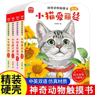 �L��0-3���bӲ����Ӣ�p�Z���_����������|������������J֪�D��