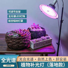 LEDȫ���V��������a������ò�ݮ������؟��҃��ֲ̨�����L��