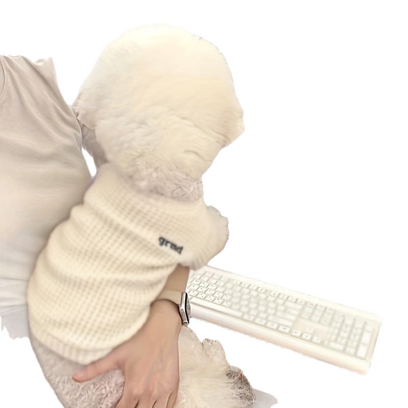 商品图