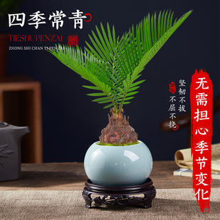 �F������ֲ���҃Ⱥ��B������������Сֲ���U���K�F�����辰