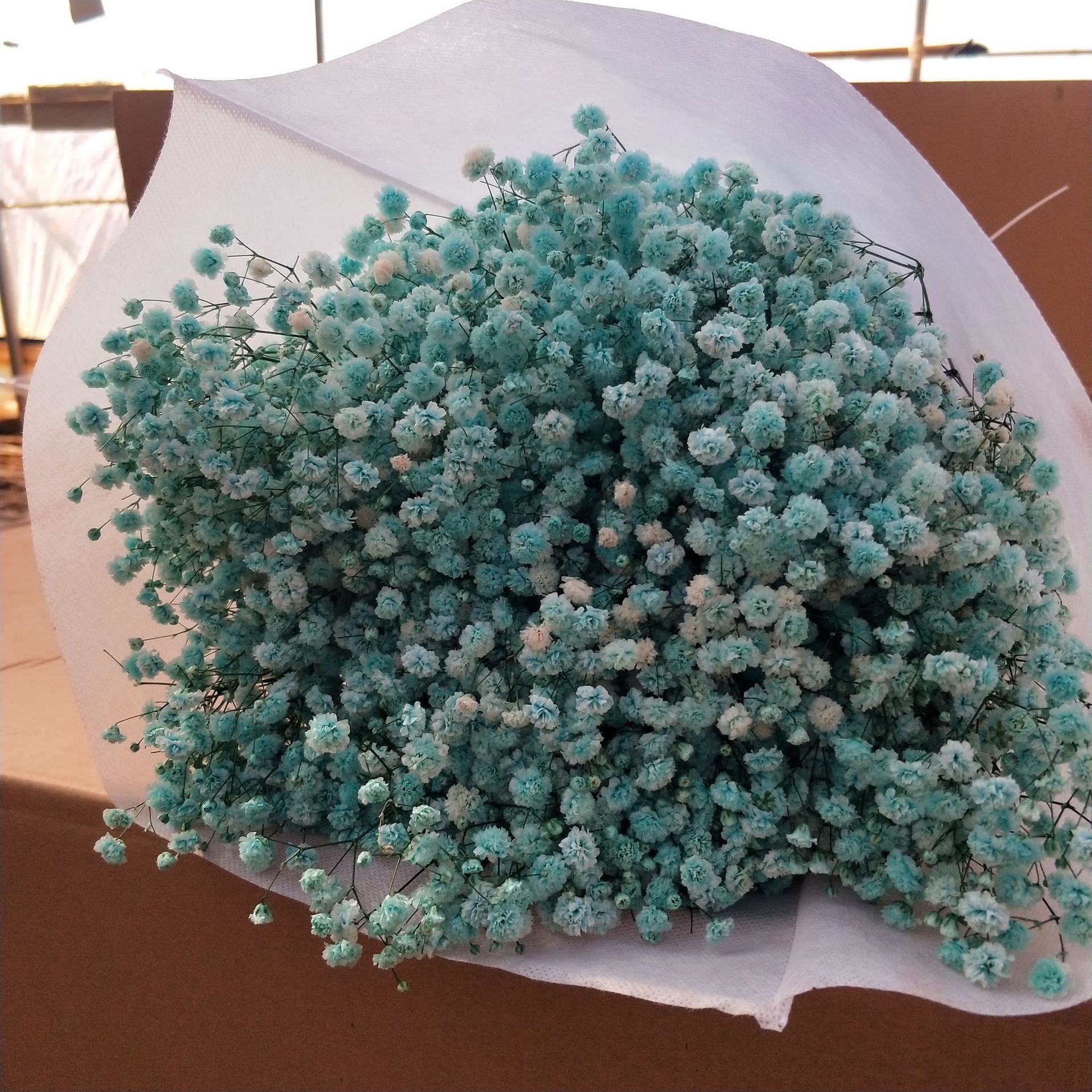 微信图片_20211210003341