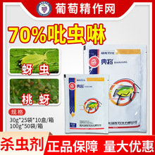 �����r���䌢 70%���x��С�����{���xā�xθ���|���rș���x�����l