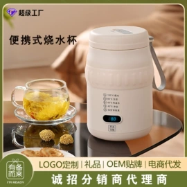 电热杯;养生壶;电火锅