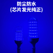 ��ˮ�m�ґ����{ɫ��LED���ן��ݚ�Շ��bưɵ깫�@�G��420450