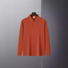 2024年新款32支210克精仿棉纯色翻领长袖男女可穿polo衫可印logo