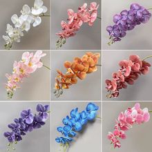 ����ˮ�۽q�����m�߷����c·����ˇ�ҾӾƵ��b�������m