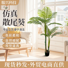 �߶��p���L����ֲ��ɢβ������������b����Ĕz�쾰����Gֲ