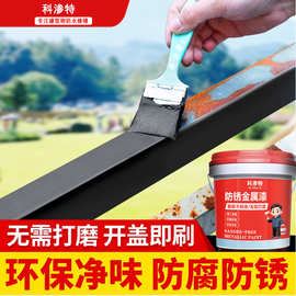 科渗特金属漆防腐防锈永久性水性漆户外栏杆彩钢瓦铁门改色速干漆