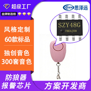 �����T���Z��IC ����i����оƬ �����Z���T�оƬ ӭ�e����оƬ