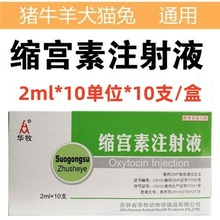 10�����ϰ������������ù�������ţ�򹷹�è�ô߲���̥�²�������