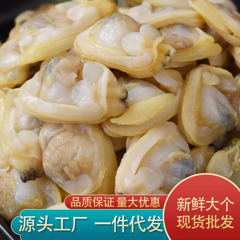 蚬子肉批发蛤蜊肉冷冻蛤蜊文蛤贝壳肉蛤蜊肉海产无沙冷冻海鲜水产