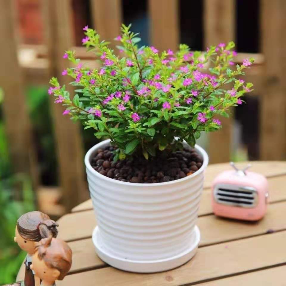 ΢��ͼƬ_20210619200822