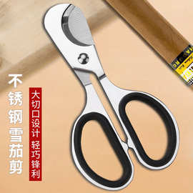 不锈钢雪茄剪 两用金属剪刀雪茄开孔器雪茄药片分割器 便携雪茄钳