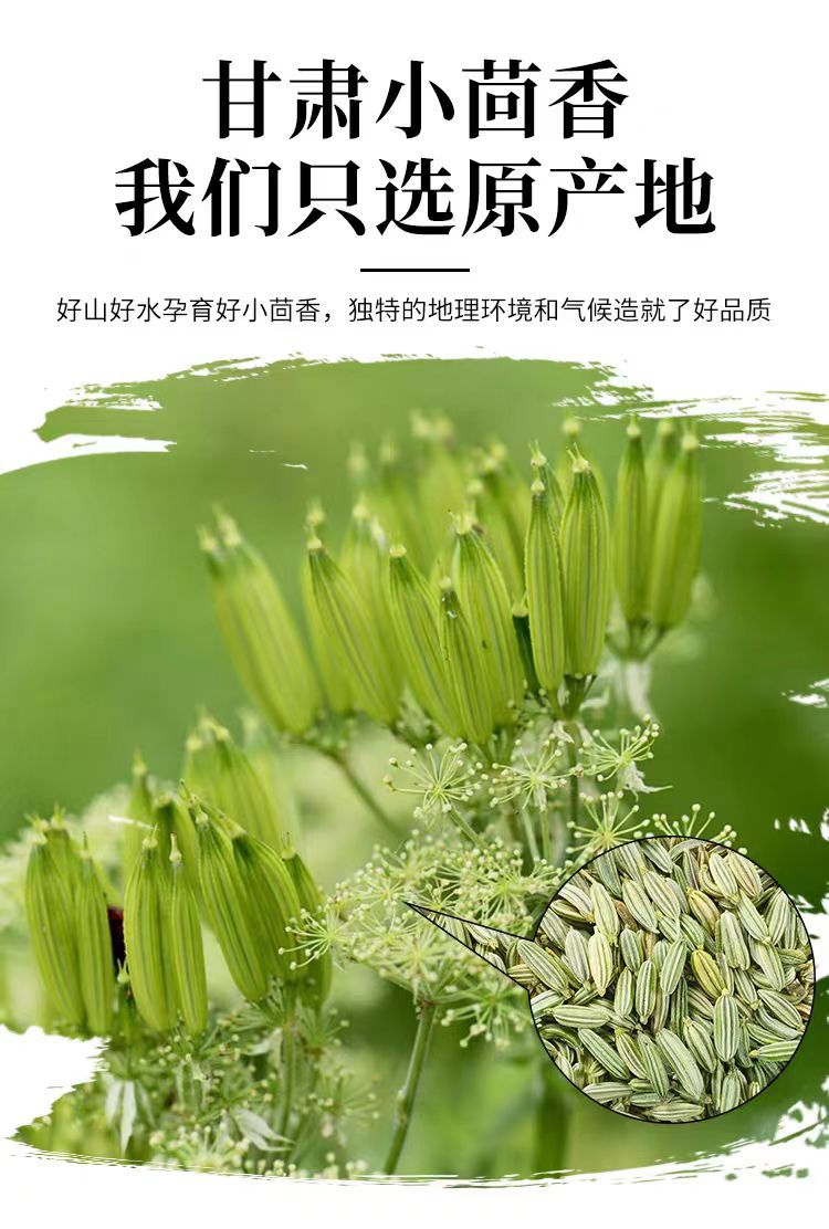 Fennel Seed (Foeniculum vulgare) — Gansu-Grown Food Herb & Culinary Spice, 500g overview