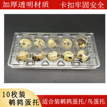 厂家包邮高扣鹌鹑蛋塑料托10枚一次性白色透明鹌鹑蛋托禽蛋包装盒