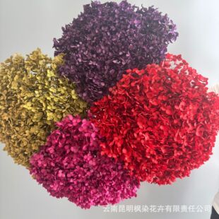 �羳��ɫ���Ƚ����������b[����c��ˇDIY���Ć�֧�ҾӲ���