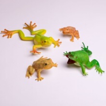 6��������ܰ]�����߄���ģ�����b������M��һ����ͯ������l