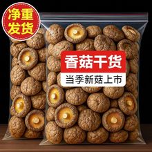 �㹽��؛�㹽��؛�r�Ҿ������o������Ģ�����l�羳���S؛Դ���l