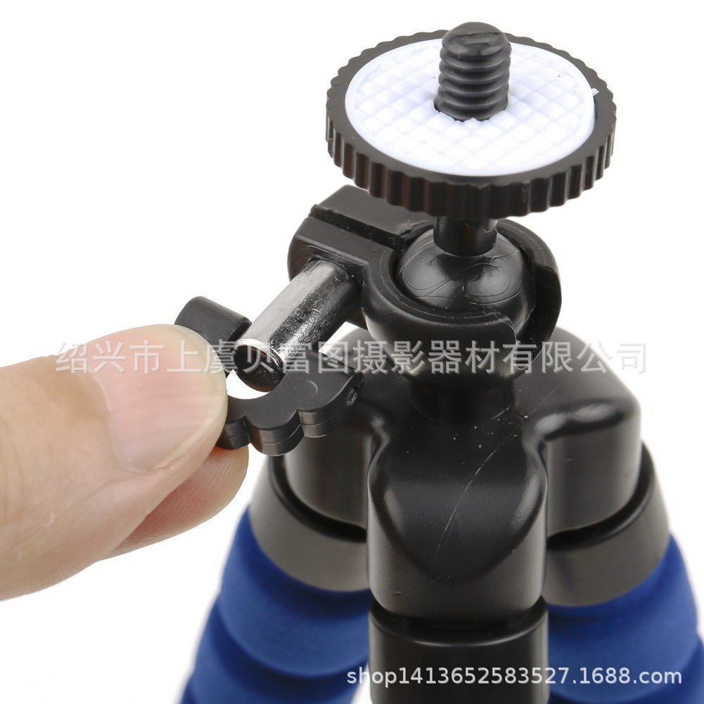 616bGfnpT+L._SL1001_