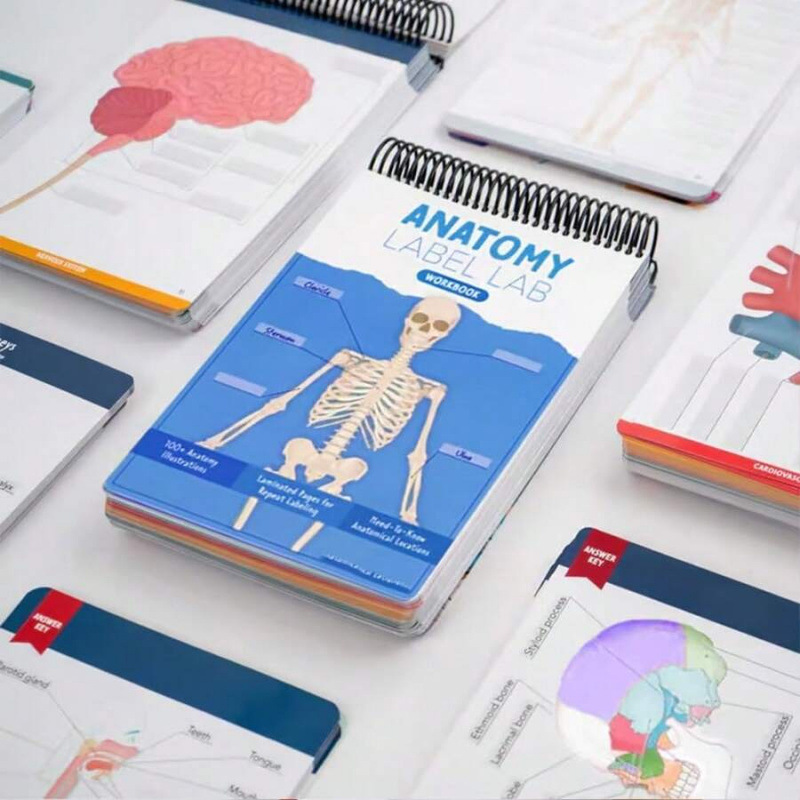 J 43217 Anatomy label lab workbook 解剖标签工作簿跨境外|ms