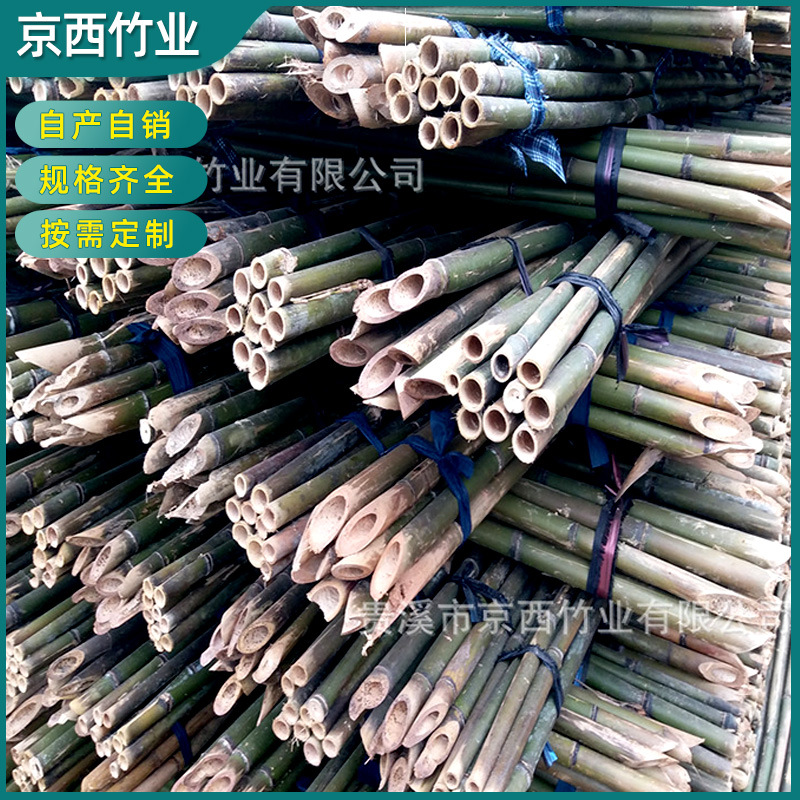 厂家供应编蒜箔用的4米5米苦竹 小竹竿子