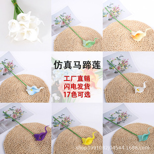 PU�����R��ɏ���滨�ٻ���c�������Ҿ��b�ˇ����ֲ��羳���l