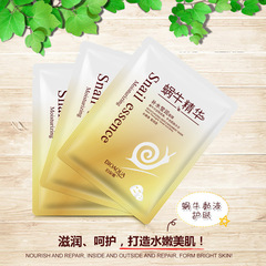 Bosideng Snail Essence Hydrating & Moisturizing Mask | Brightening & Hydrating Sheet Mask