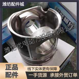 �H��˹̫��WP10�l�әC������1000208083���� �P܇늇��������͙C