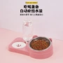 自动猫咪狗碗