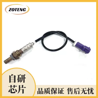 Automotive Sensors Oxygen Sensor