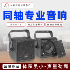 プロ仕様のフルレンジ同軸スピーカー 家庭用カラオケ会議室 カフェ ショッピングモール レストラン 学校用スピーカー メーカー直販