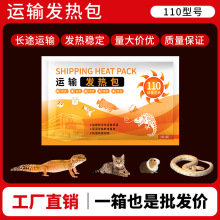 宠物运输发热包快递运输110小时爬虫宠物植物果蔬活体运输加热包