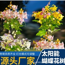 ¿̫ܺƺ led⻨@ՇͥԺ滨ز