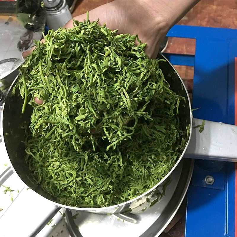 茶叶揉捻机全自动小型用新款制茶机炒茶机商用不锈钢电动揉茶机