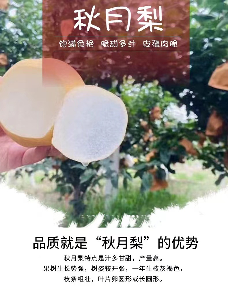 e5be5ff0d3a8191c79836690438695