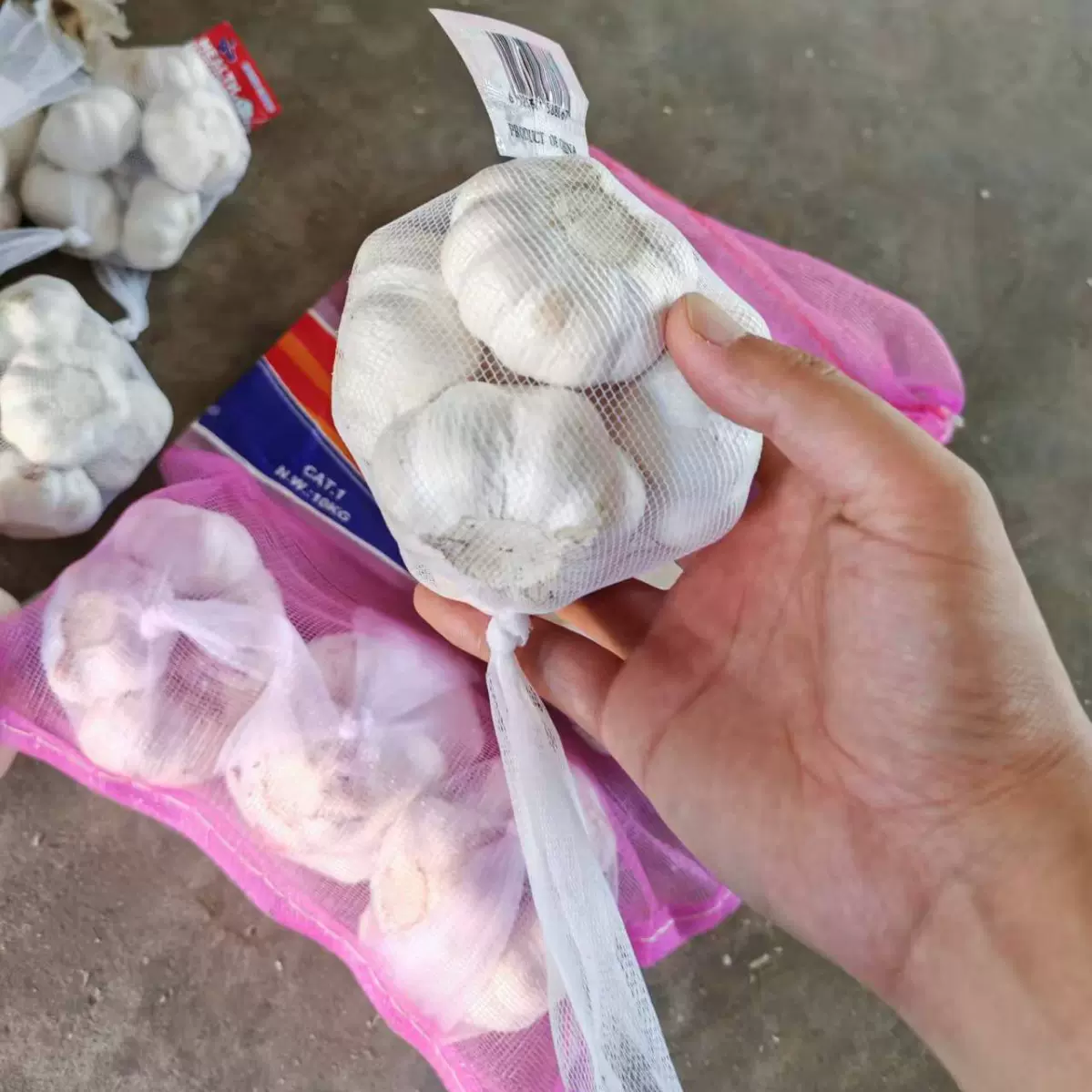 出口跨境大蒜出口至泰国厄瓜多尔巴西中东非洲