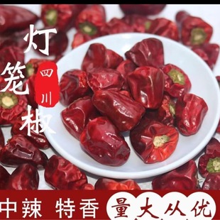 ���\���������F������΢������t���\����ħ����������偻������