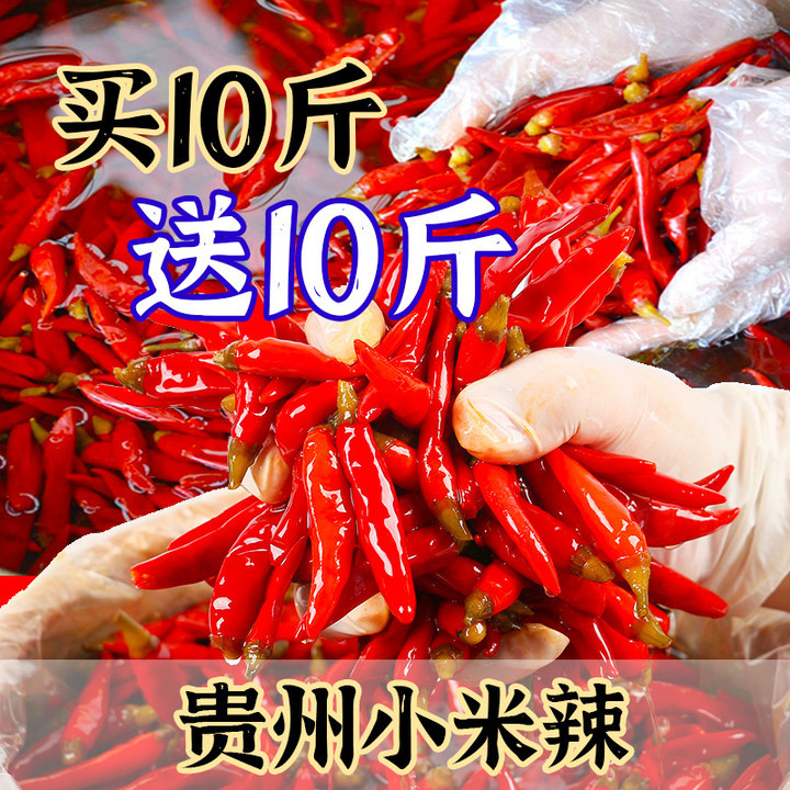 500g Guisanhong Pickled Chili, Mini Chili, Peppery Chili Pickled Chicken Spleen, Liver and Gizzard, Acidic and Spicy Chopped Chili Seasoning Wholesale