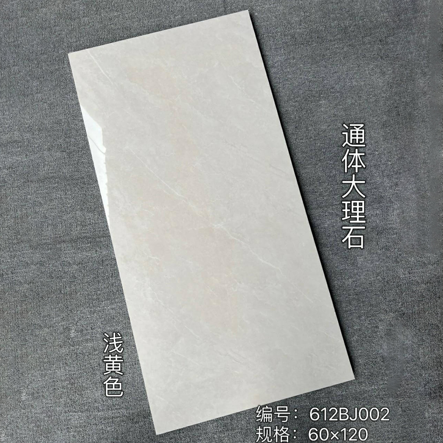 66206