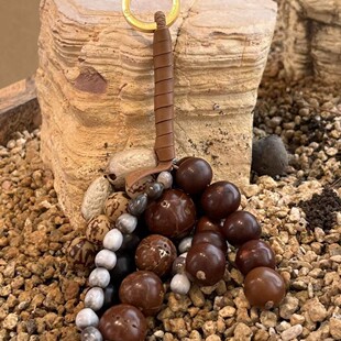 �MN�����ӷN���L⏴�����쾎�K���ϰ����Ʒ�ֹ��������h��Ȧ