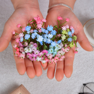 �M���ǻ��^���滨��c�ػ����仨�Ĕz���������^����»������l