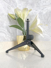 ��ɫԒͲ���_�� �ۯB�����L�� ����Ӣ��3/8�ݗU÷����λ�|Ƭ���