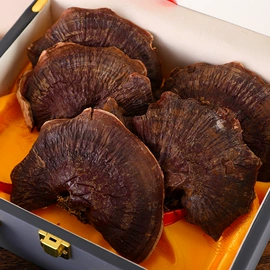 参类滋补品;鹿产品;灵芝